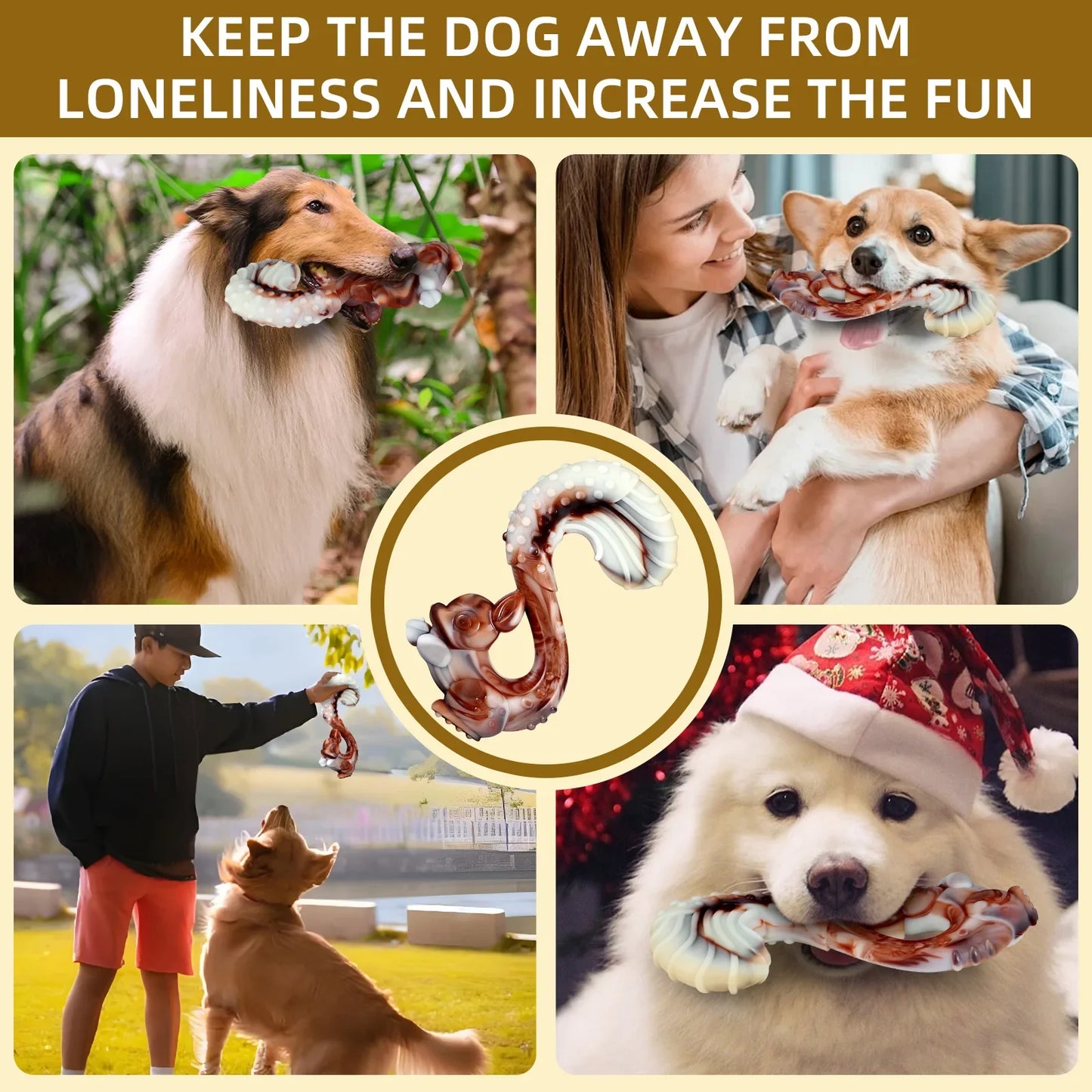 Tough Nylon Chew Toy (Beef Flavor)
