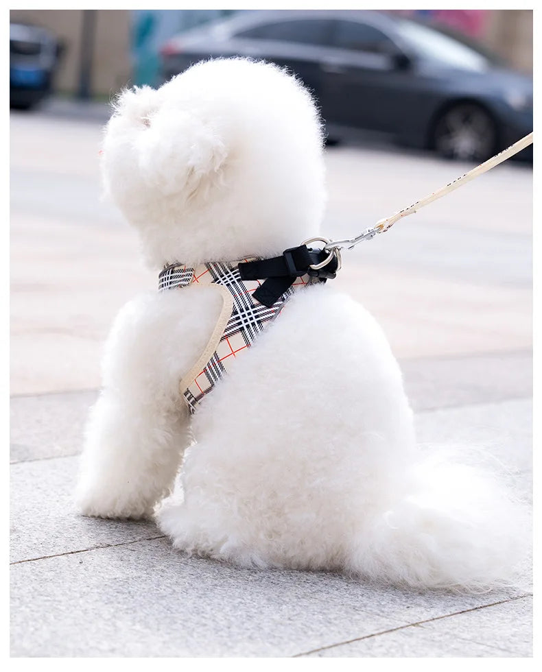 British-Style Dog Harness Set (3-Piece)