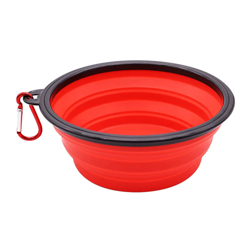 Folding Travel Bowl with Bottle