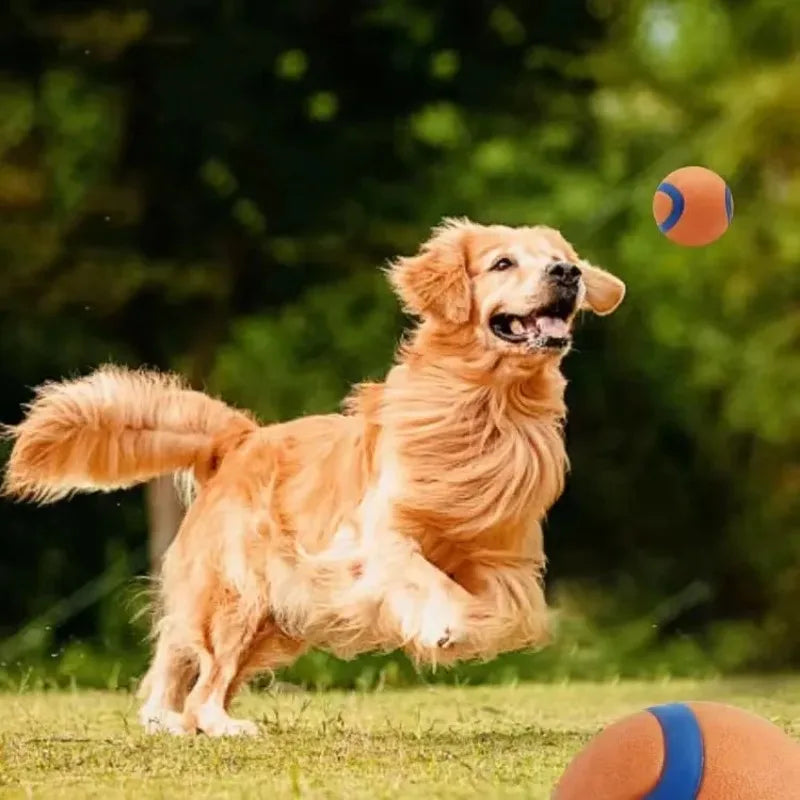 Tough Elastic Fetch Ball for Dogs