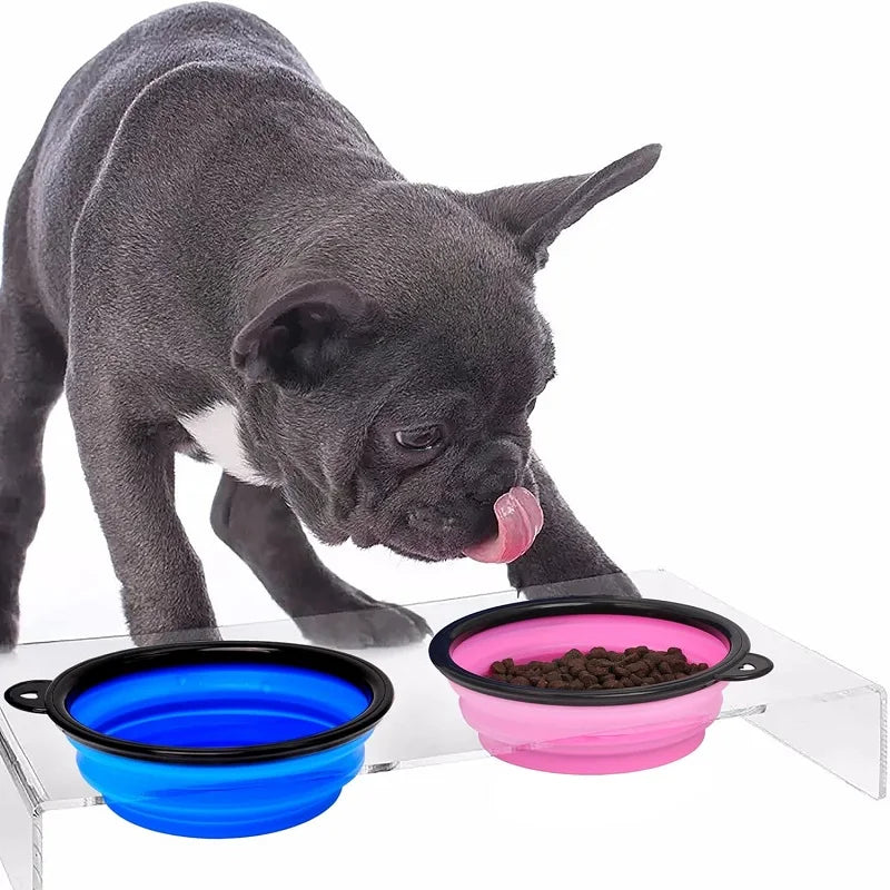 Folding Travel Bowl with Bottle