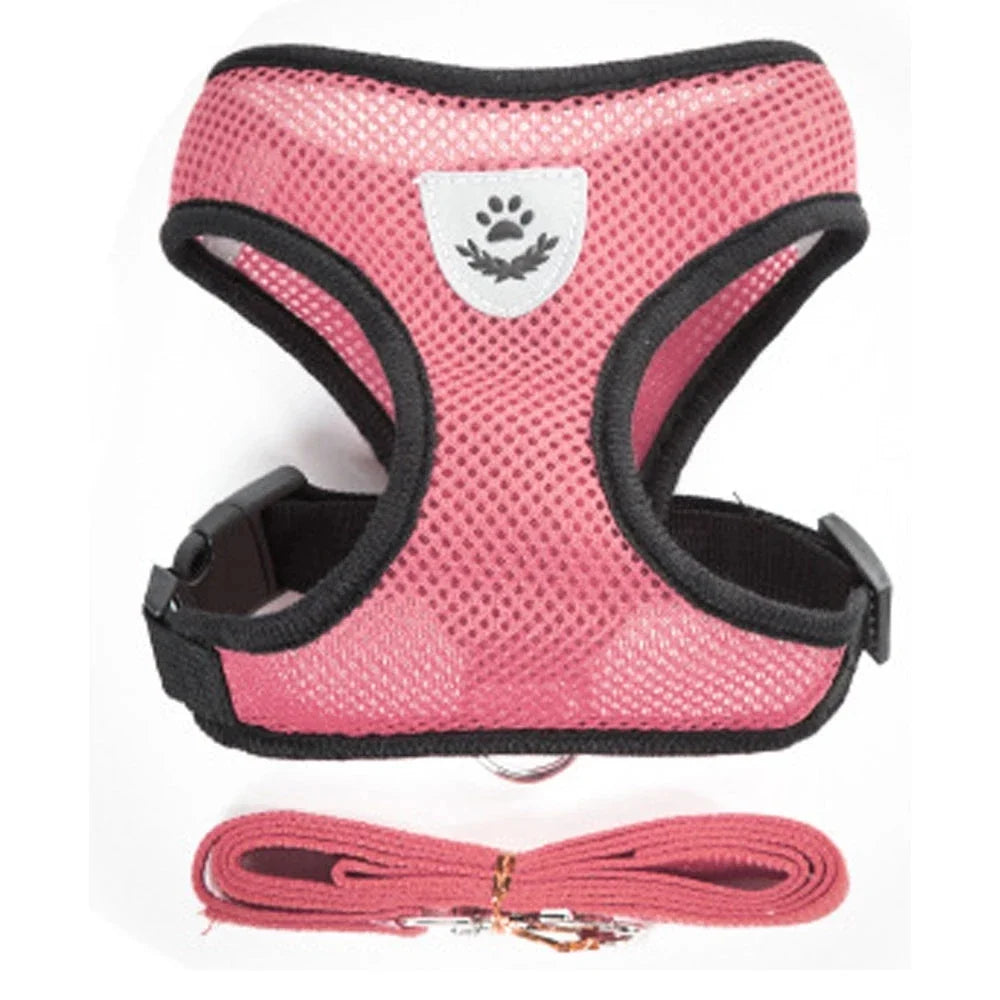 Breathable Mesh Harness & Leash