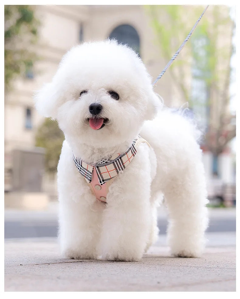 British-Style Dog Harness Set (3-Piece)