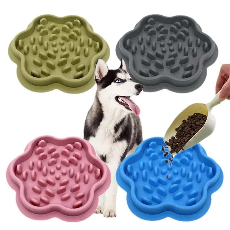 Non-Slip Slow Feeder Bowl