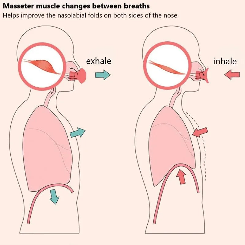 Jawline Exerciser- HMT15JE