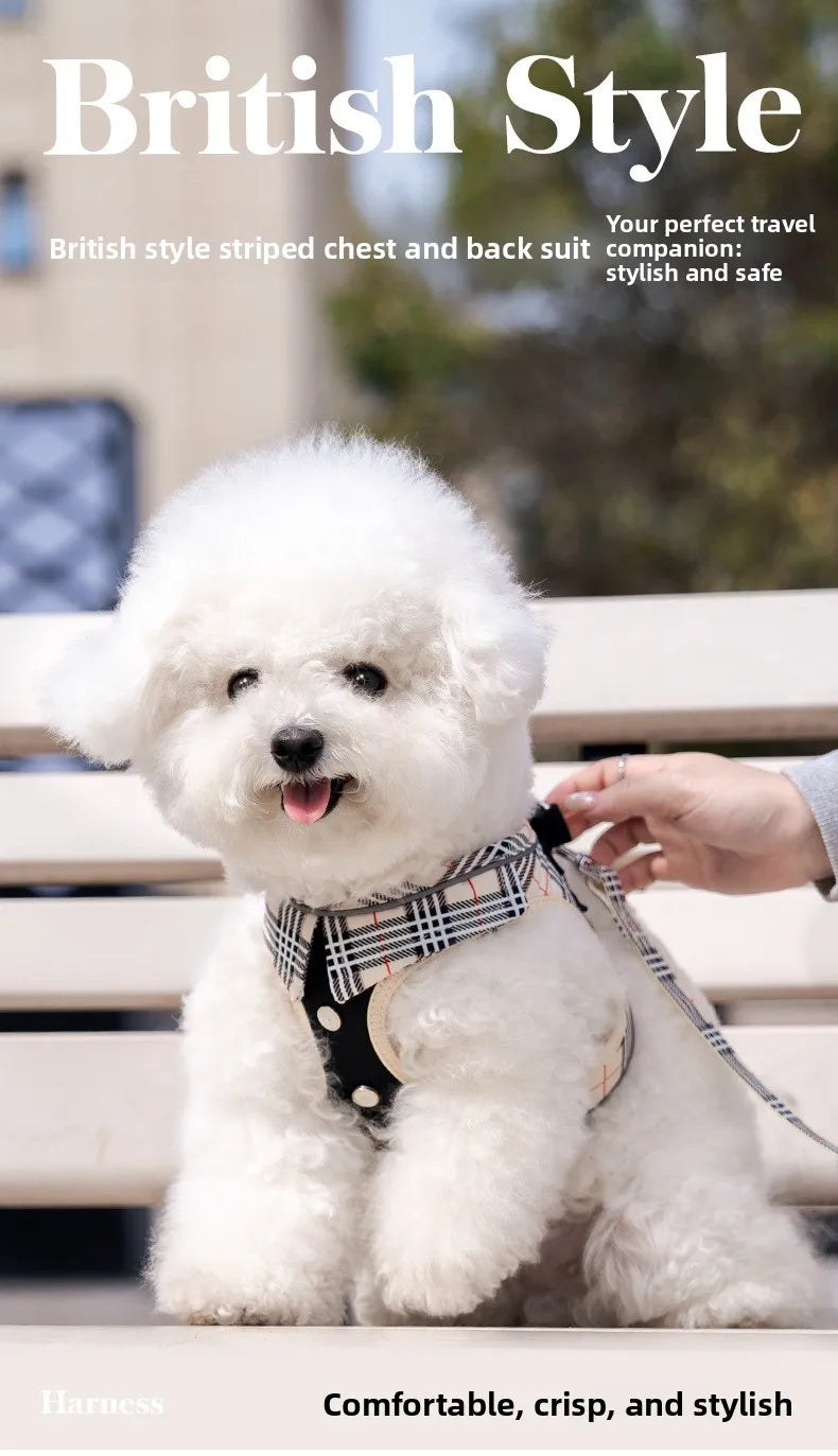 British-Style Dog Harness Set (3-Piece)