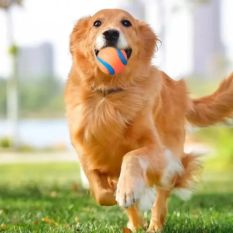 Tough Elastic Fetch Ball for Dogs