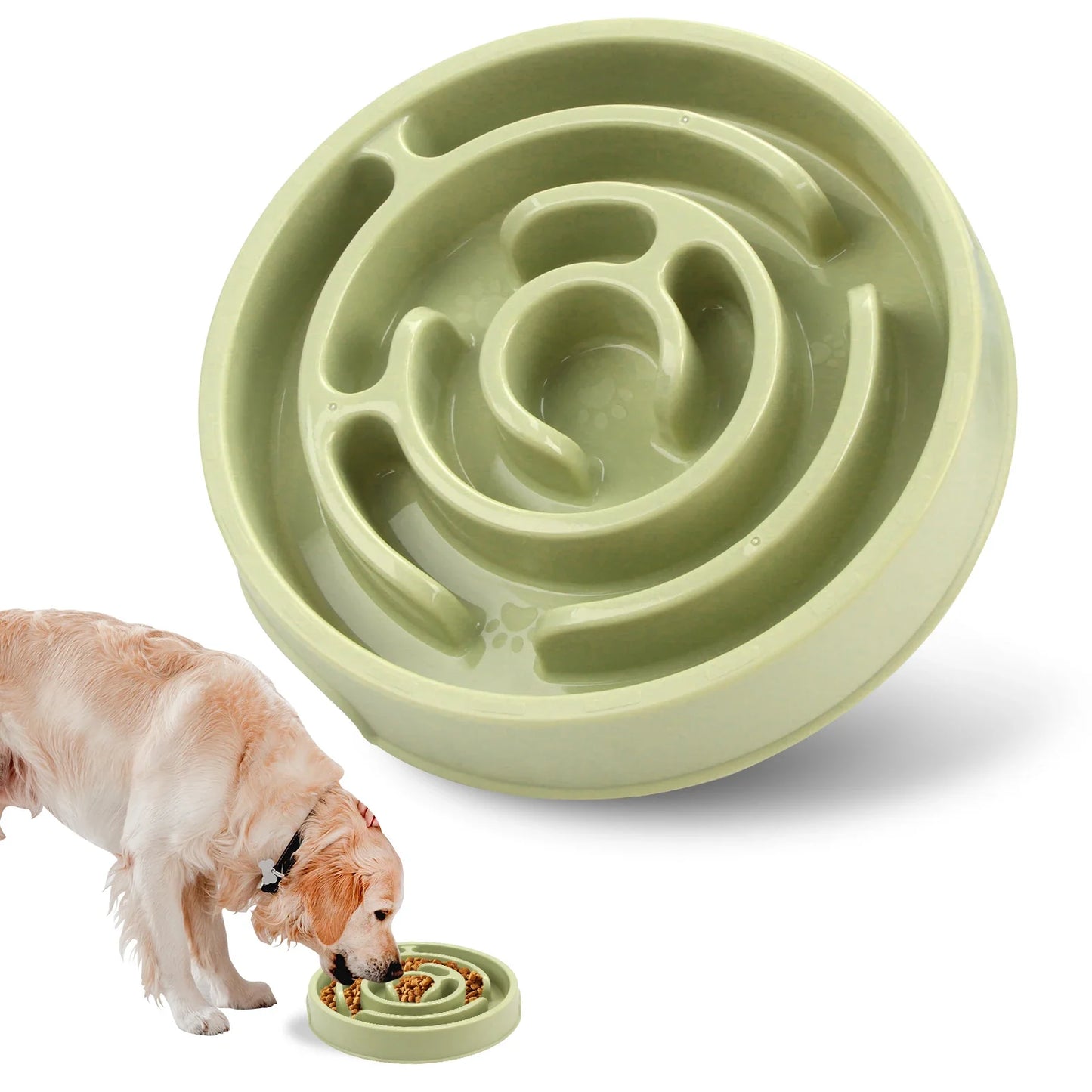Anti-Gulping Slow Feeder Bowl