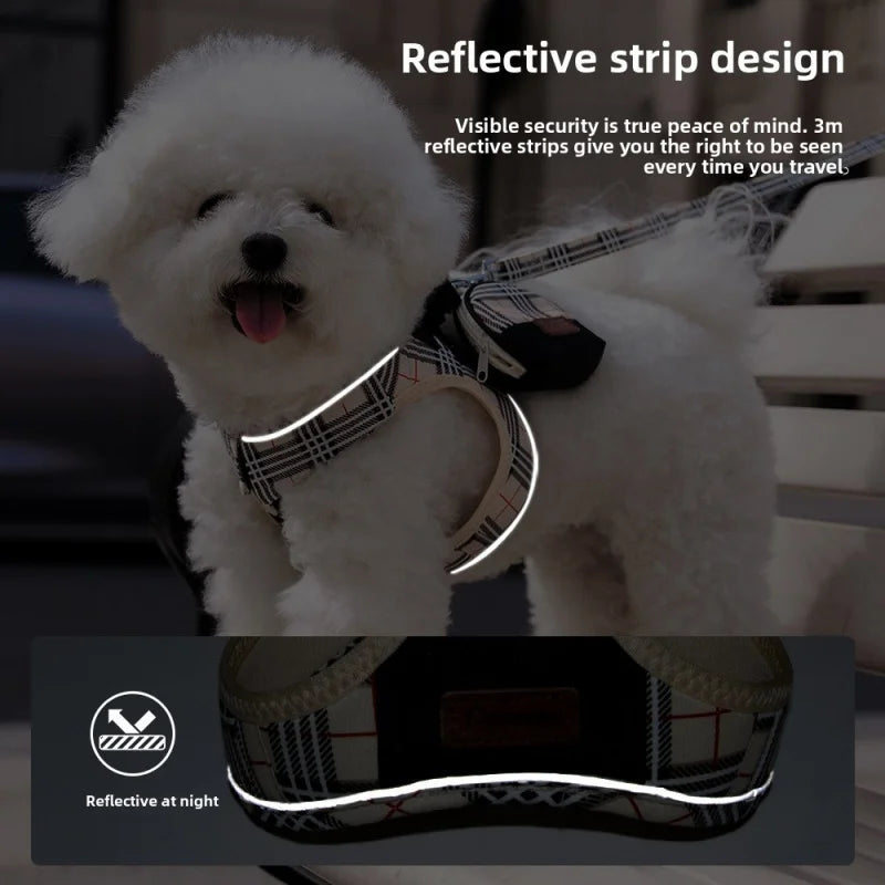 British-Style Dog Harness Set (3-Piece)