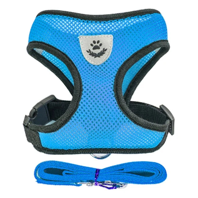 Breathable Mesh Harness & Leash