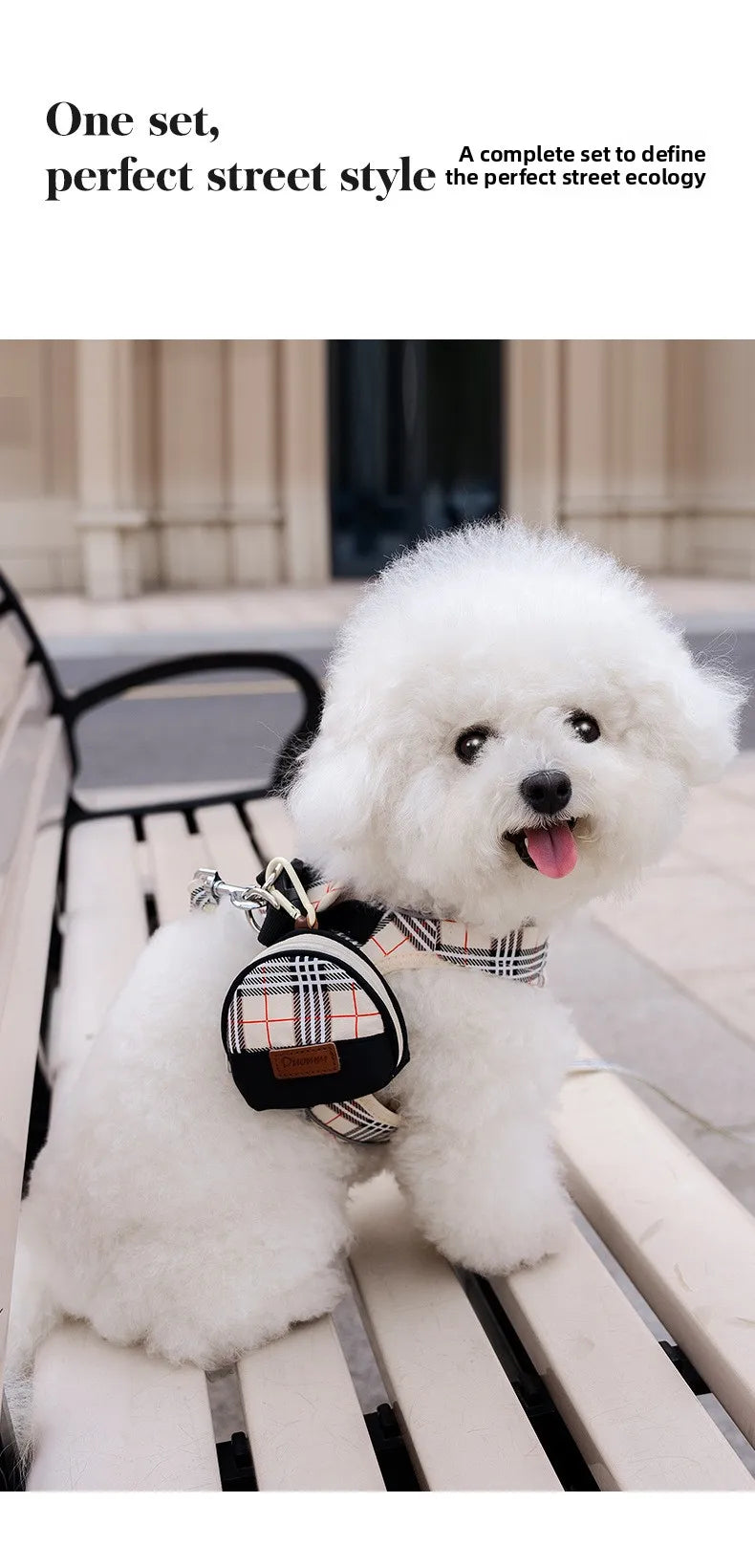 British-Style Dog Harness Set (3-Piece)