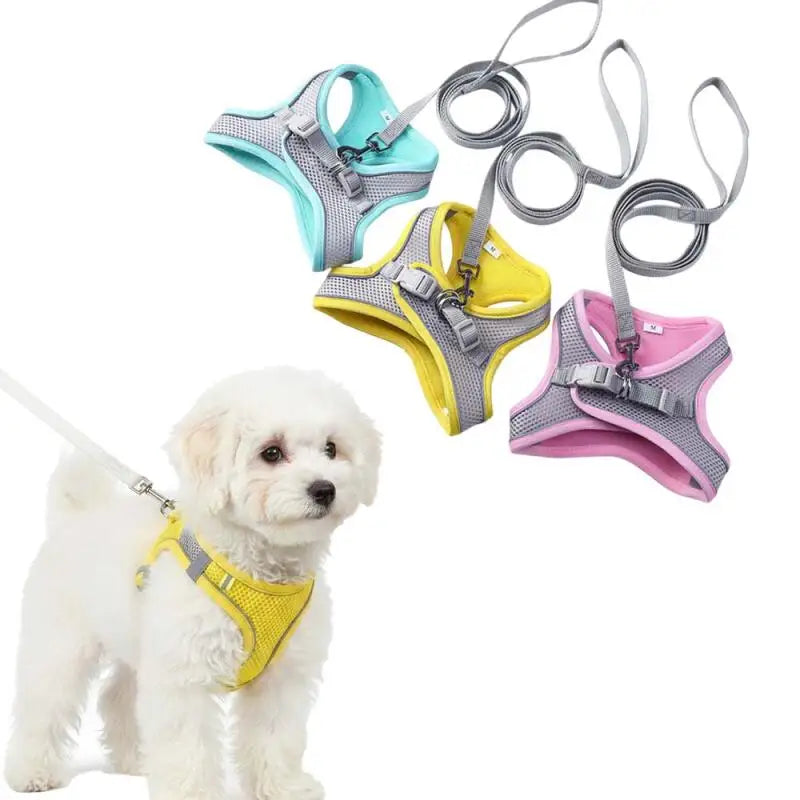 Reflective Mesh Harness & Leash Set