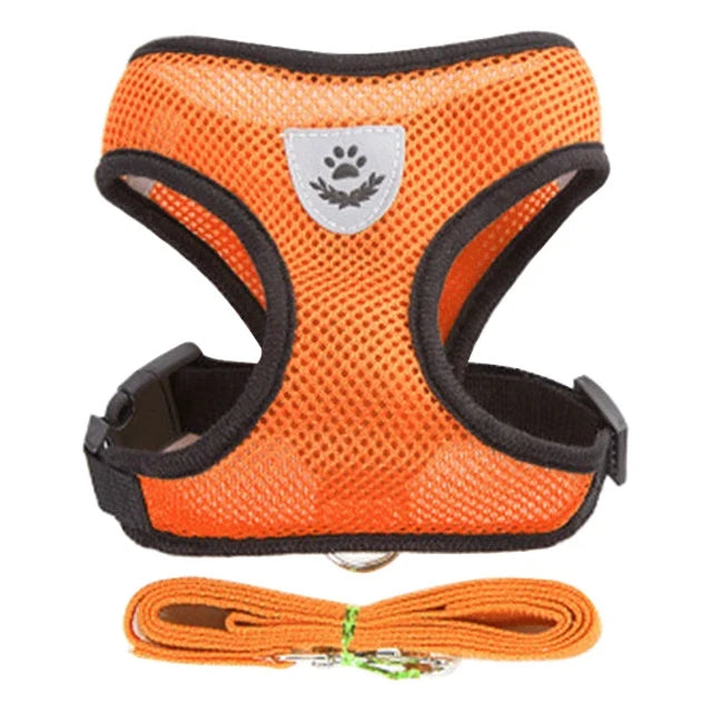 Breathable Mesh Harness & Leash