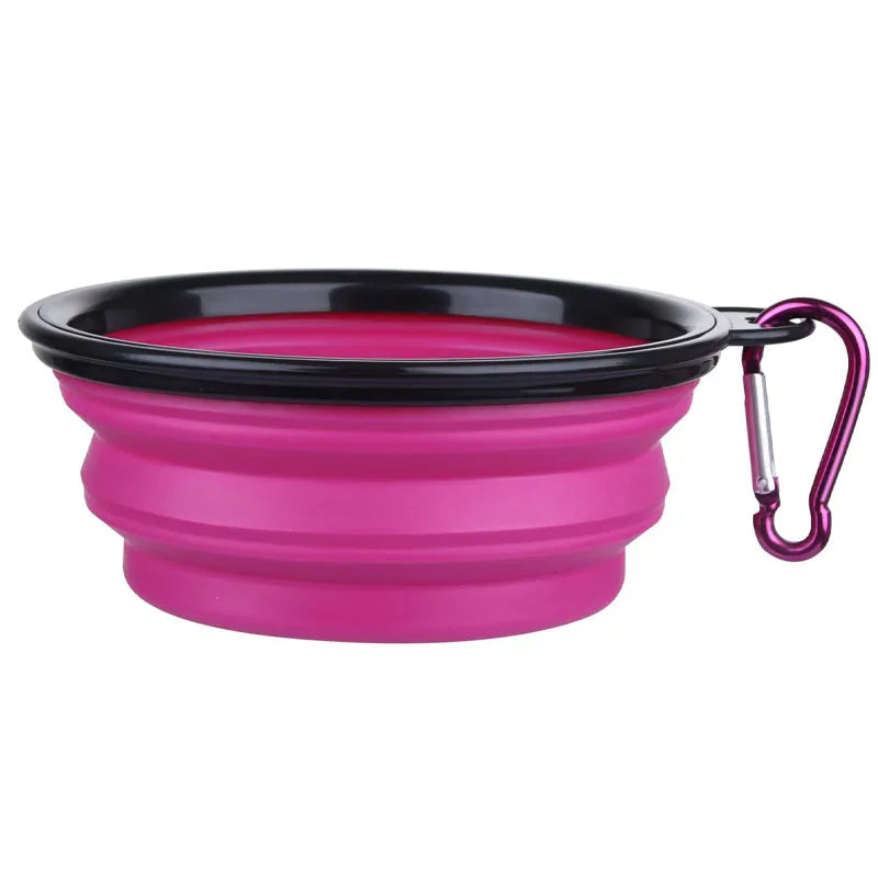Folding Travel Bowl with Bottle