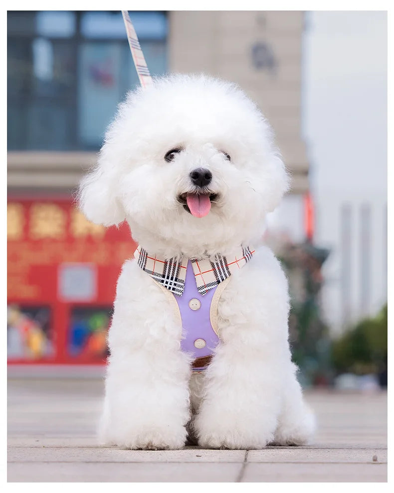 British-Style Dog Harness Set (3-Piece)