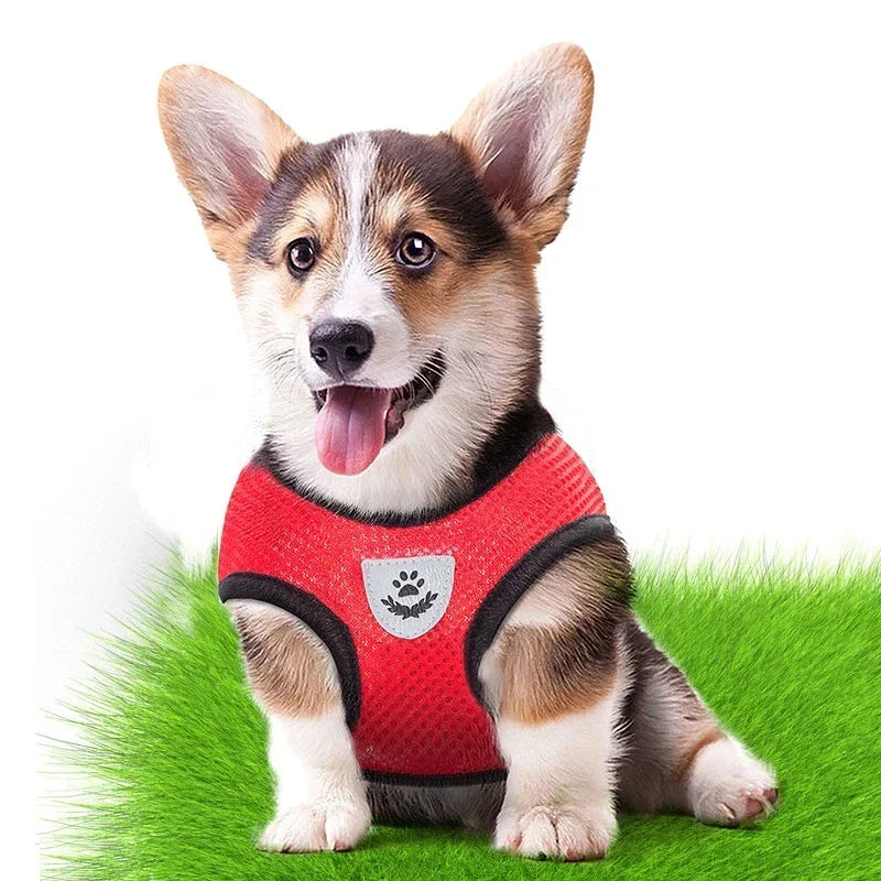 Breathable Mesh Harness & Leash