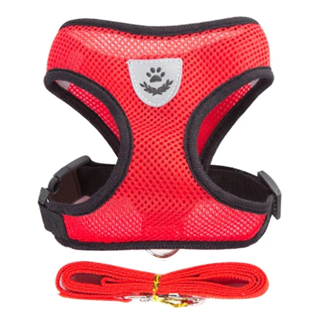 Breathable Mesh Harness & Leash