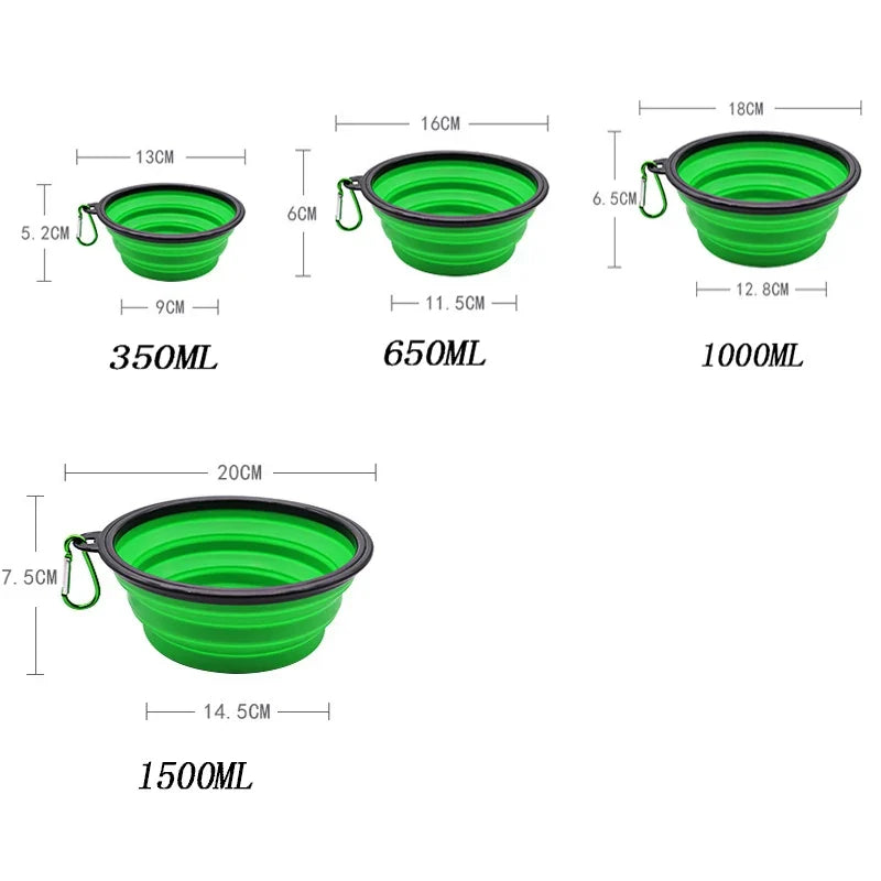 Folding Travel Bowl with Bottle