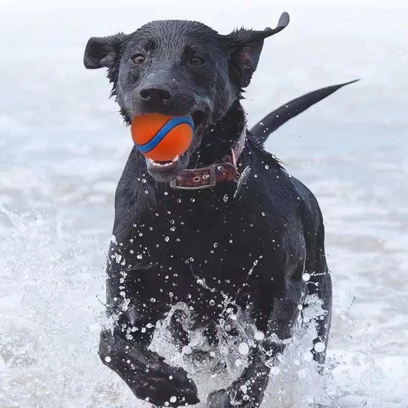 Tough Elastic Fetch Ball for Dogs