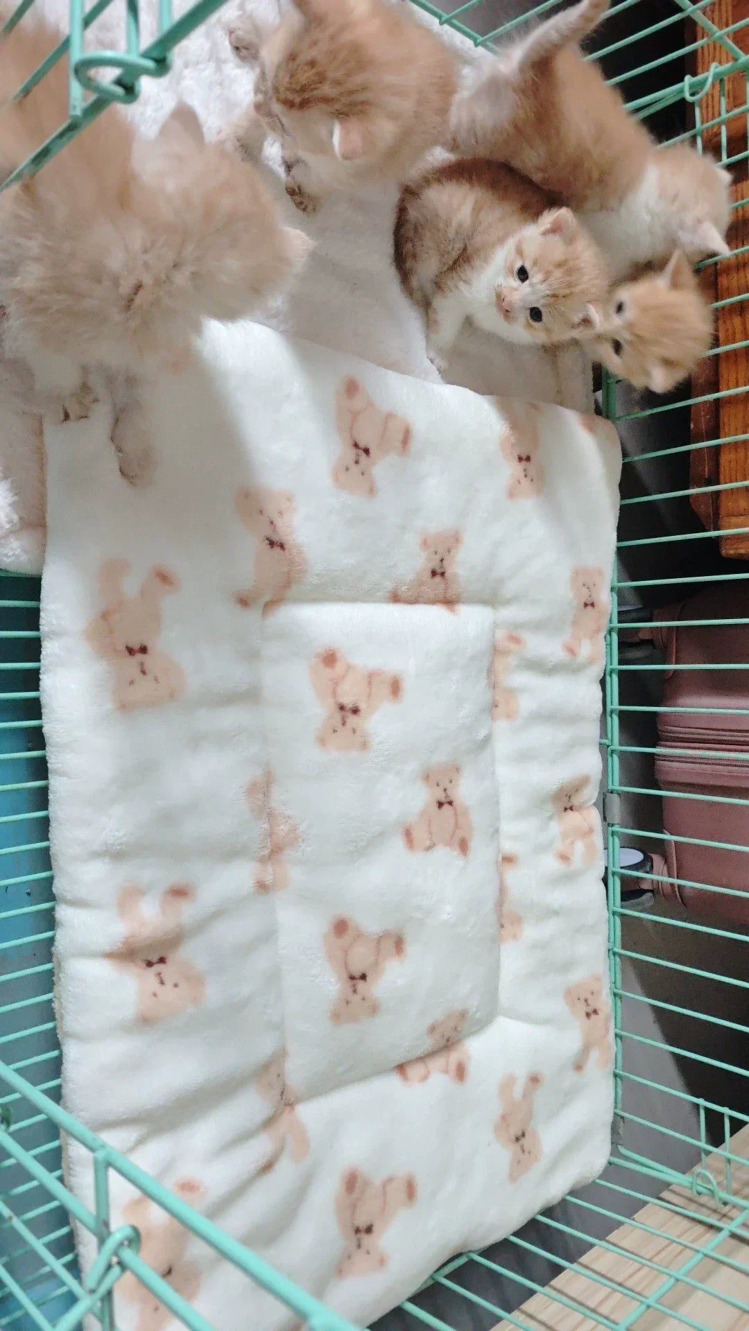 Soft Crate Mat for Dogs & Cats