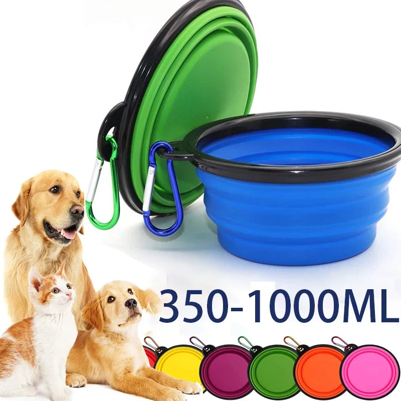 Folding Travel Bowl with Bottle