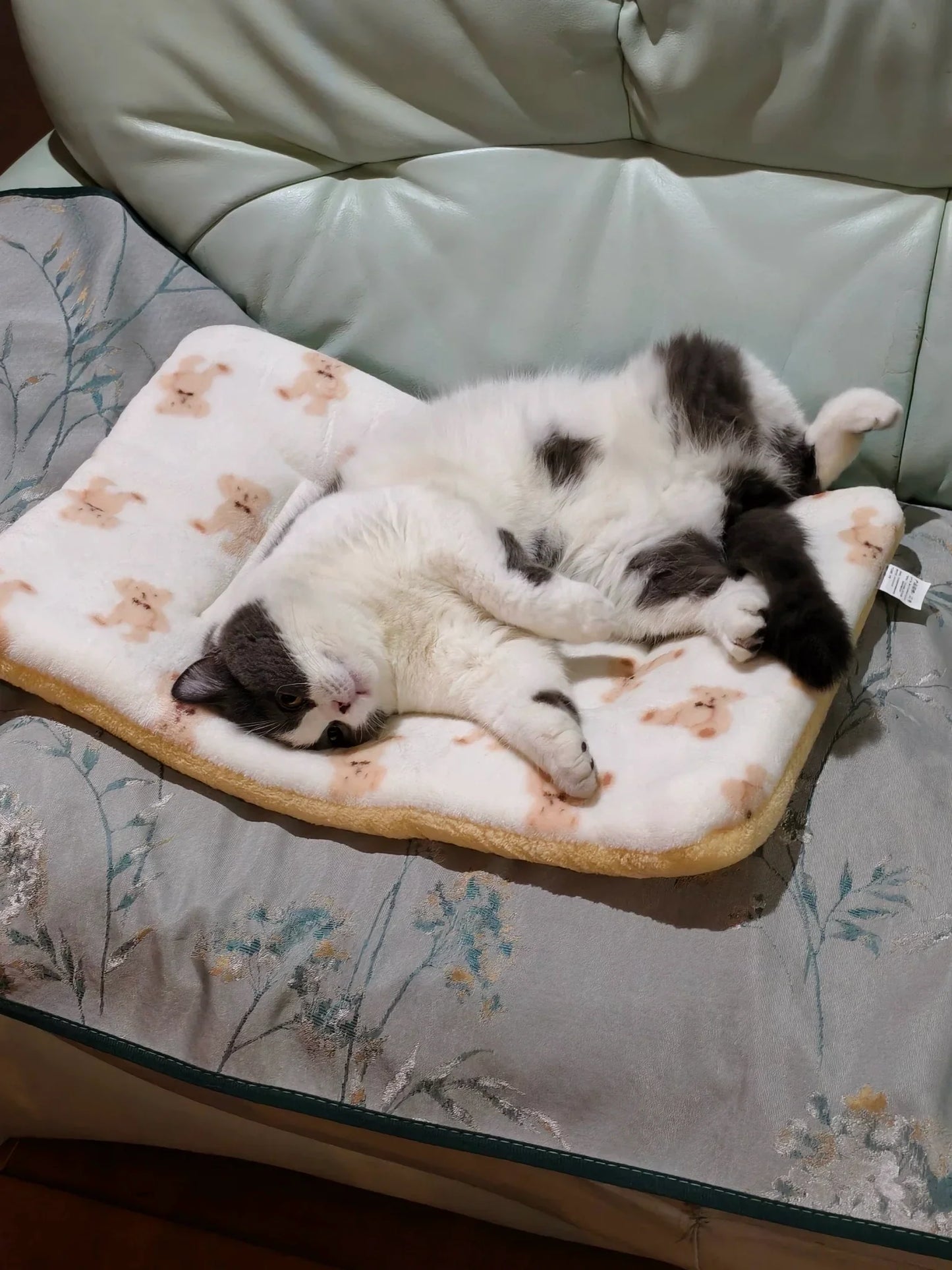 Soft Crate Mat for Dogs & Cats