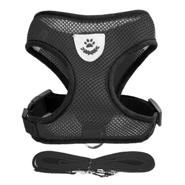 Breathable Mesh Harness & Leash