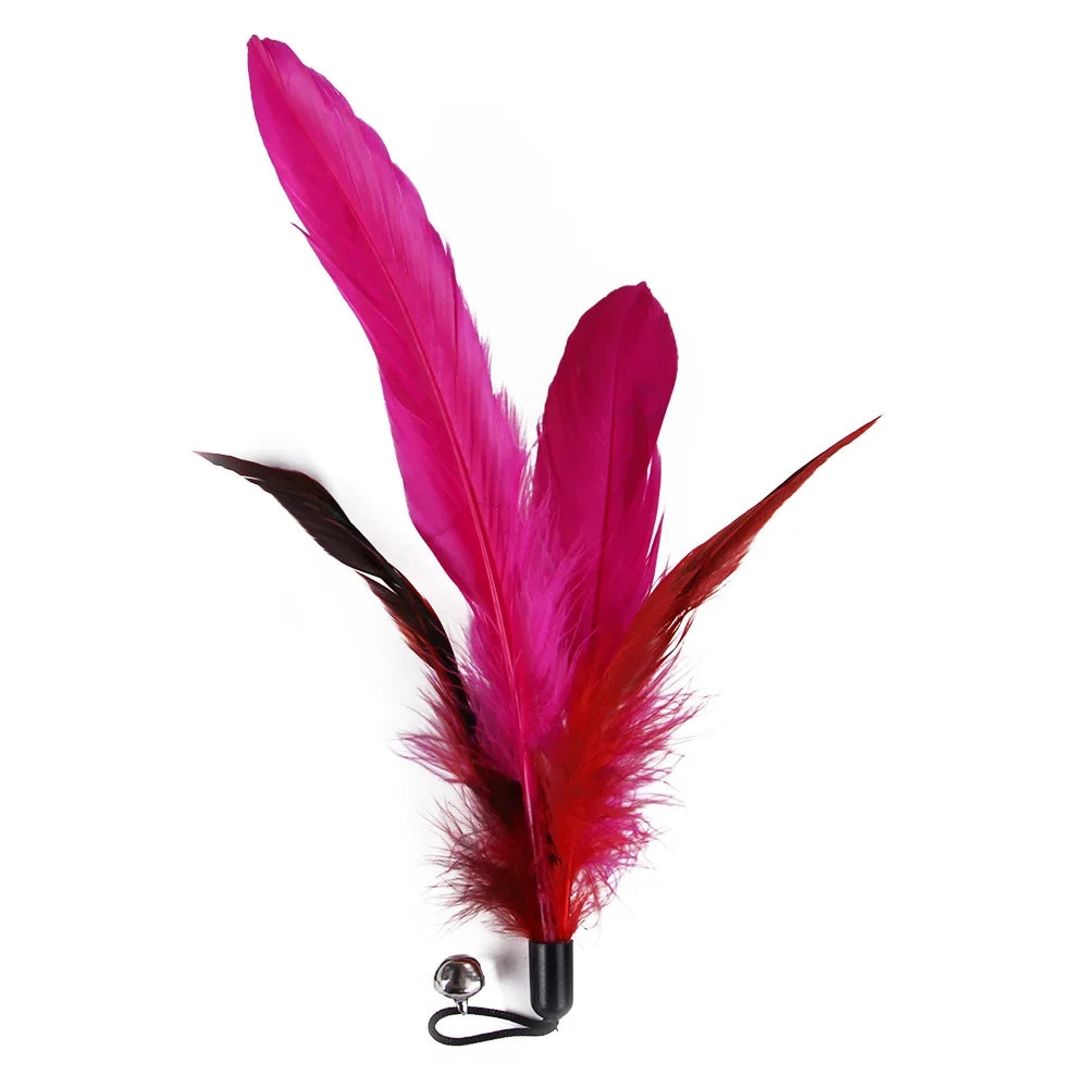 Cat Feather Wand Toy Set (11-Piece)