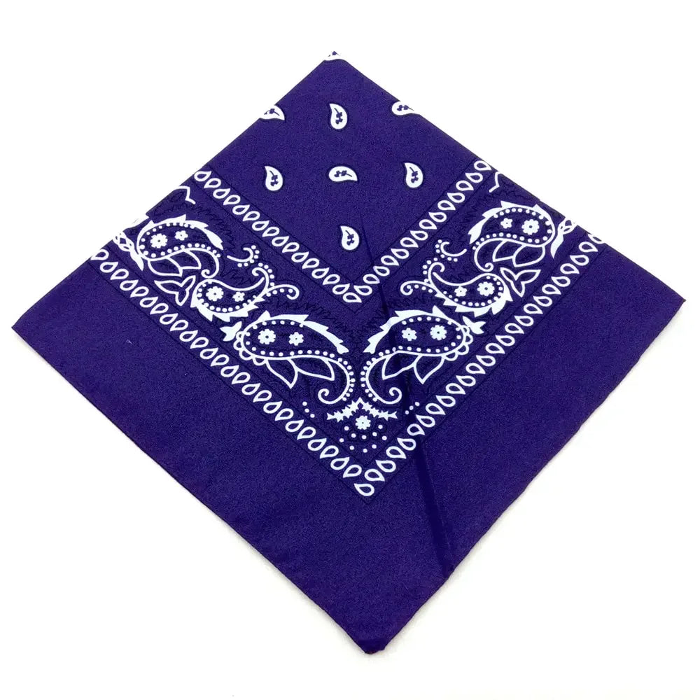 Bohemian Bandana Paisley Print Unisex Headband