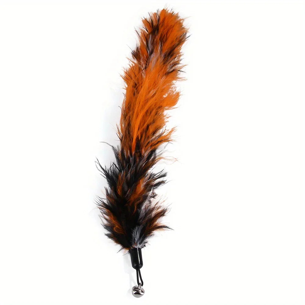 Cat Feather Wand Toy Set (11-Piece)
