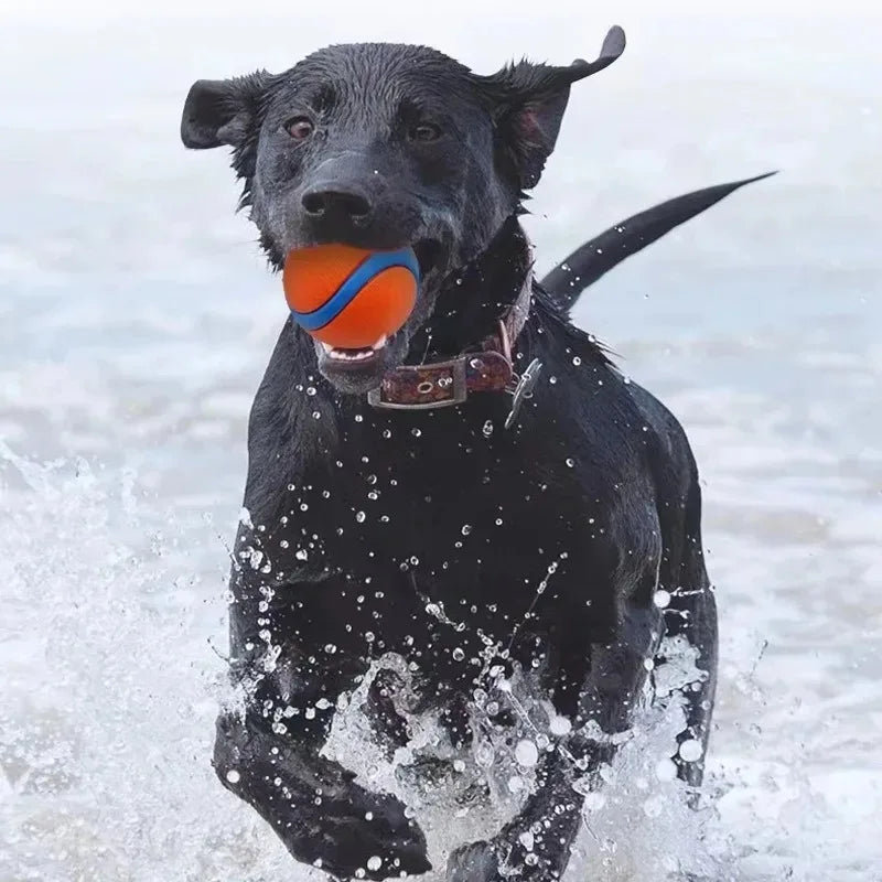 Tough Elastic Fetch Ball for Dogs