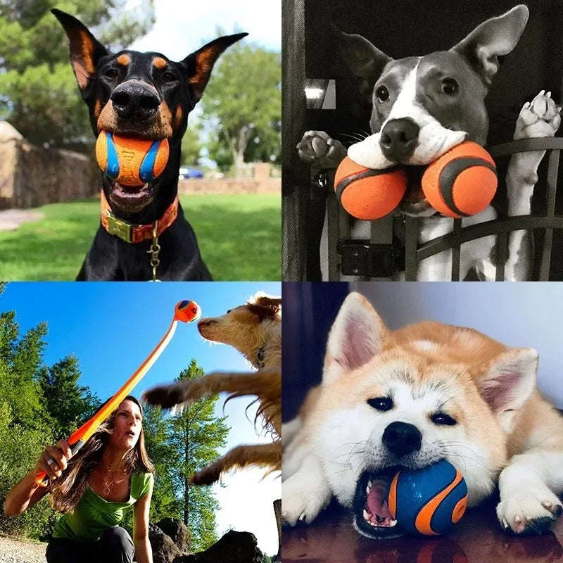 Tough Elastic Fetch Ball for Dogs