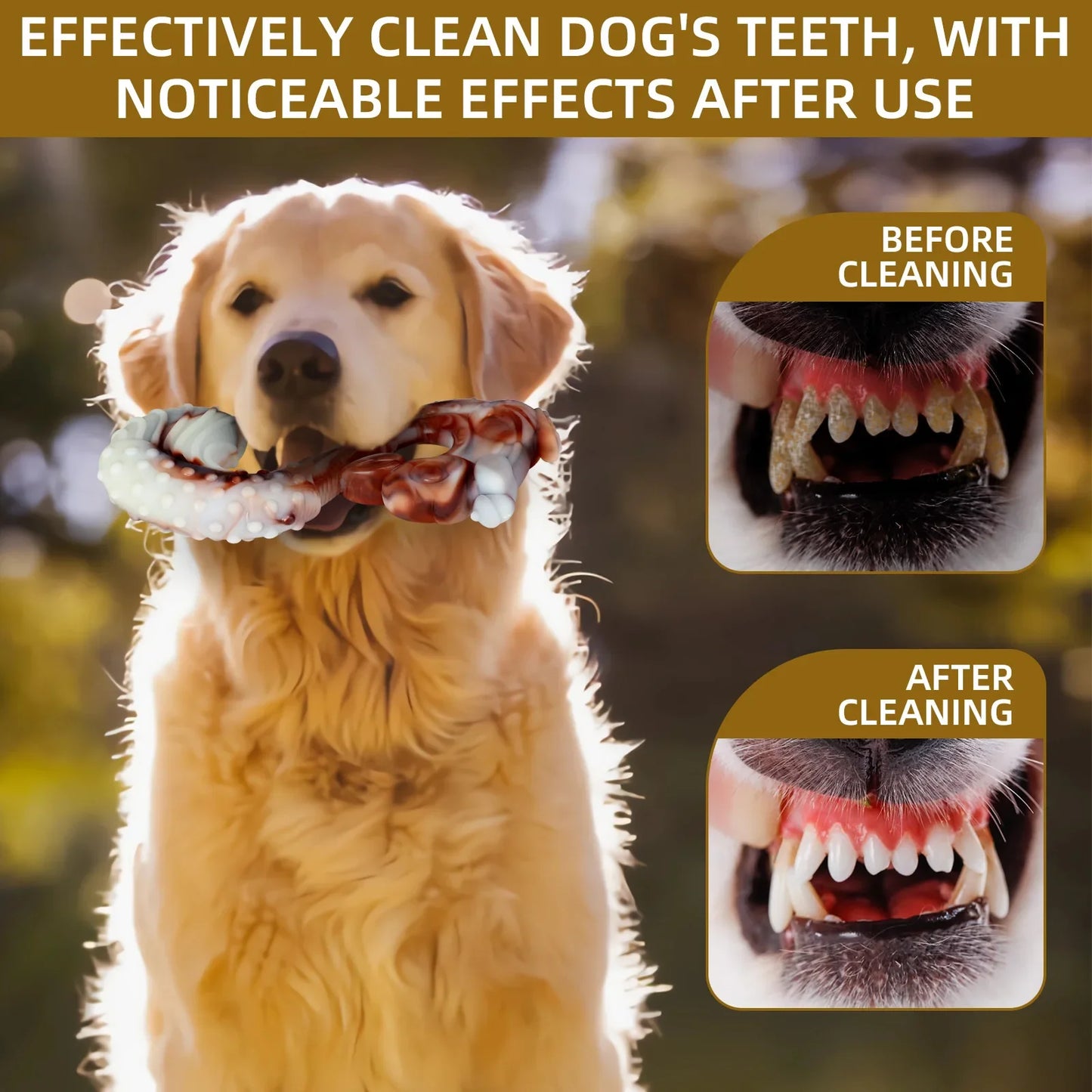 Tough Nylon Chew Toy (Beef Flavor)