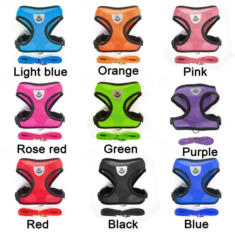 Breathable Mesh Harness & Leash