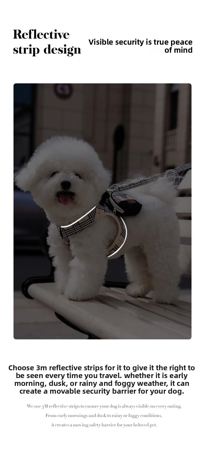 British-Style Dog Harness Set (3-Piece)