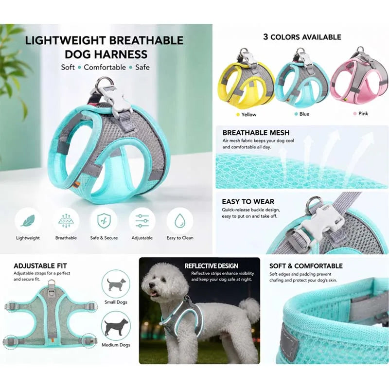Reflective Mesh Harness & Leash Set