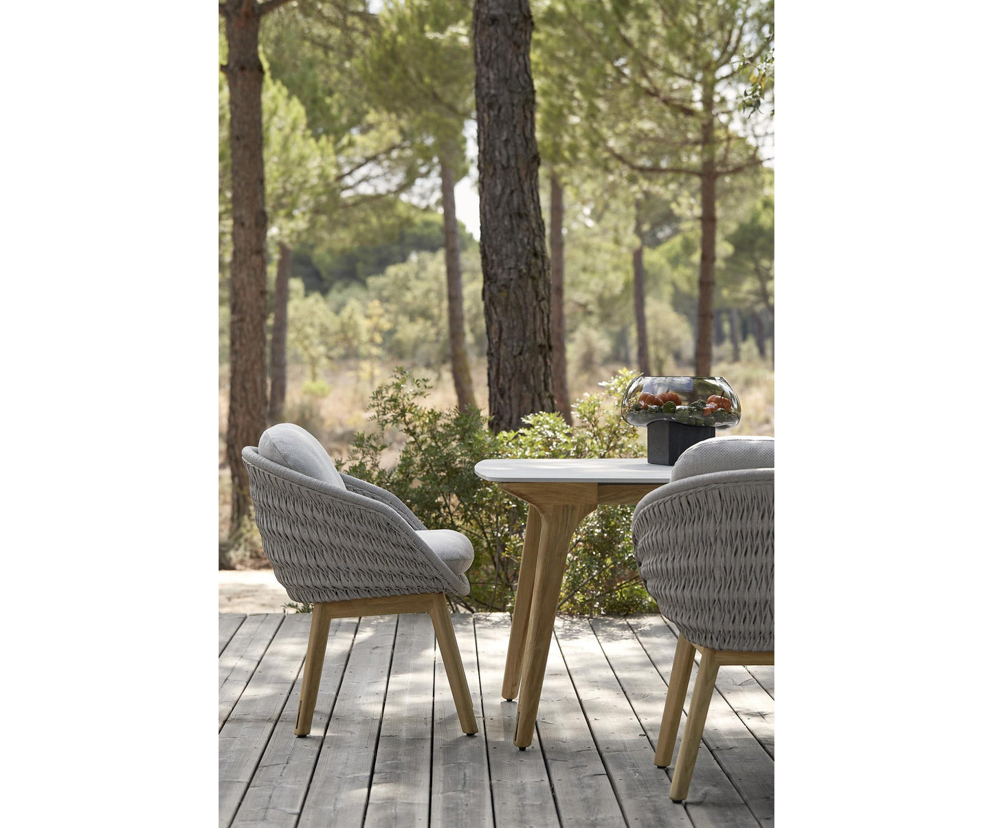 Sandua Dining Chair