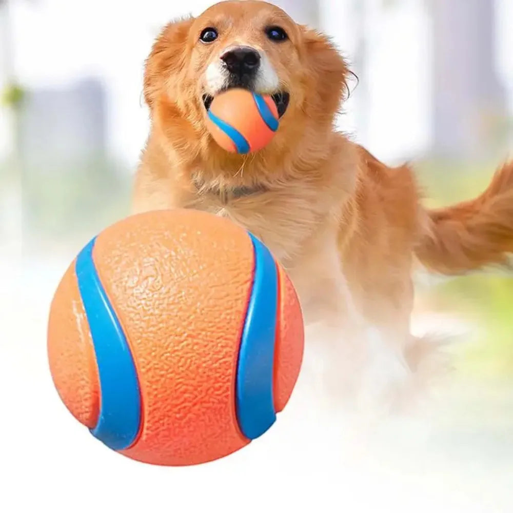 Tough Elastic Fetch Ball for Dogs