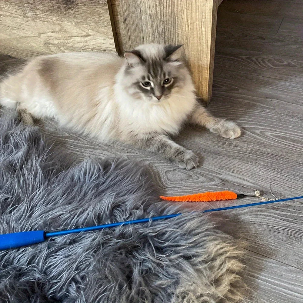 Cat Feather Wand Toy Set (11-Piece)
