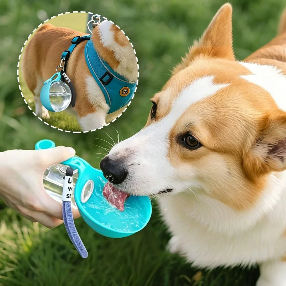 Portable Dog Water Bottle (285ml)