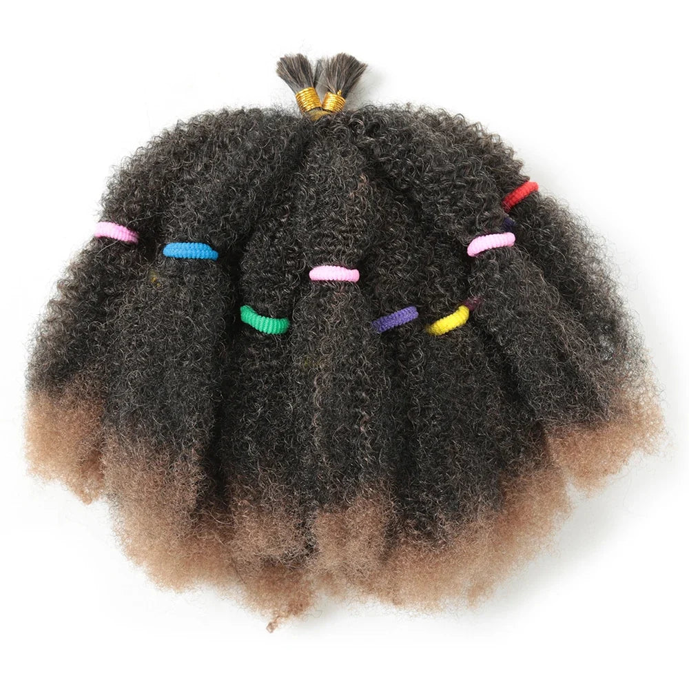 Curly Crochet – 12” Synthetic Ombre Afro Kinky Braiding Hair Extensions