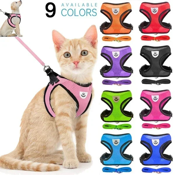Breathable Mesh Harness & Leash