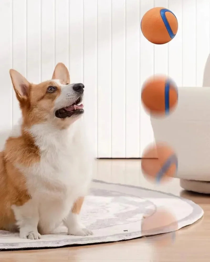 Tough Elastic Fetch Ball for Dogs