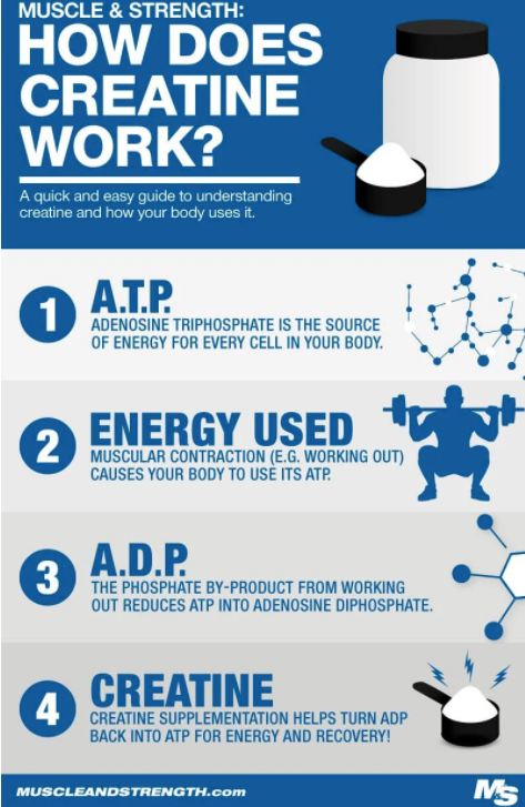 L-Creatine Monohydrate (Not For Medicinal Use)