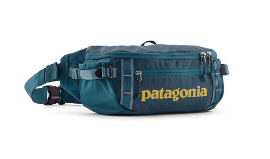 Patagonia Black Hole Waist Pack 5L
