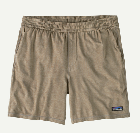 Patagonia Men's 2-Loose Shorts