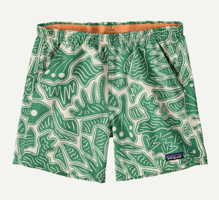 Patagonia Women's Baggies Shorts - 5"