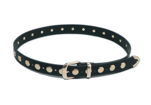 Accessory Concierge Fully Studded Belt