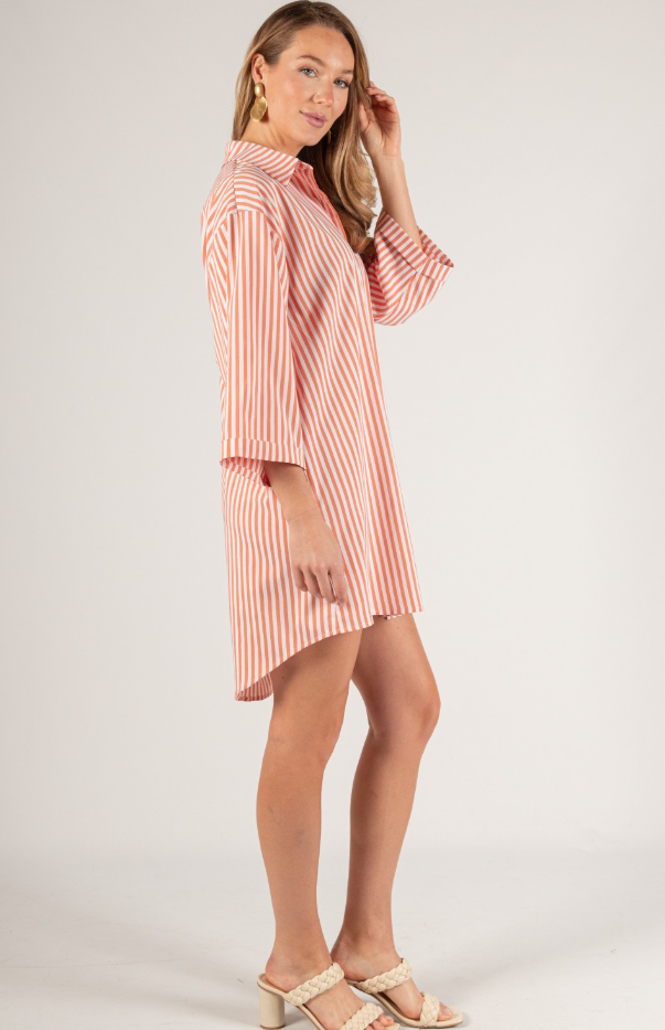 Simone Striped Shirt Dress