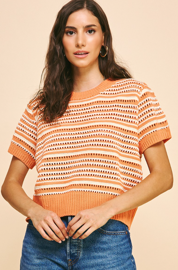Ensley Eyelet Short Sleeve Sweater